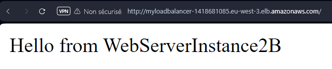 ELB_DNS_browser_screenshot.png